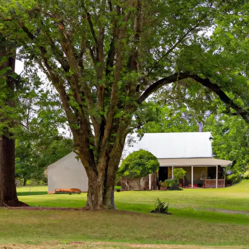 Rural homes in Randolph, Alabama