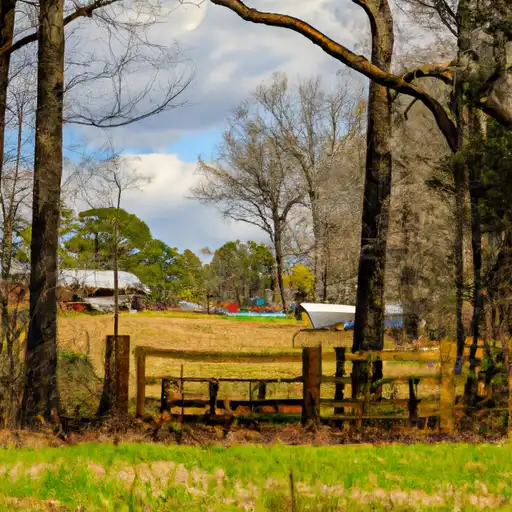 Rural homes in Talladega, Alabama