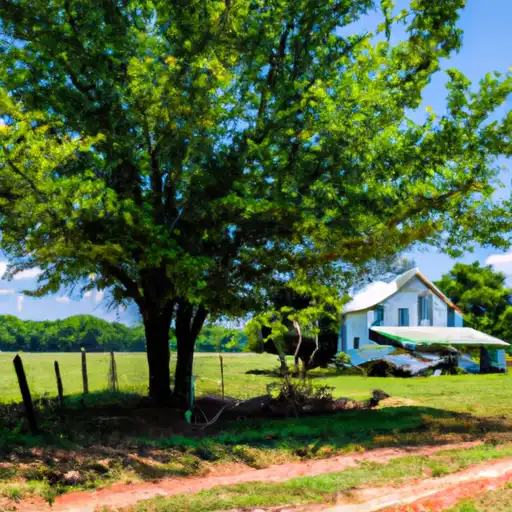 Rural homes in Tallapoosa, Alabama