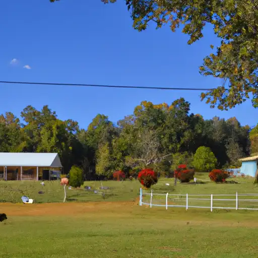 Rural homes in Wilcox, Alabama