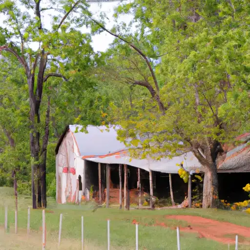 Rural homes in Chicot, Arkansas