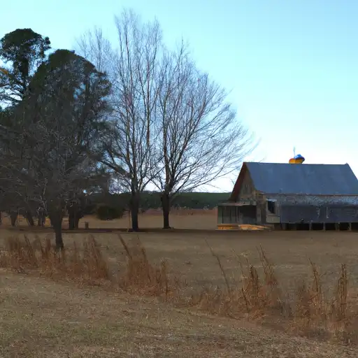 Rural homes in Grant, Arkansas