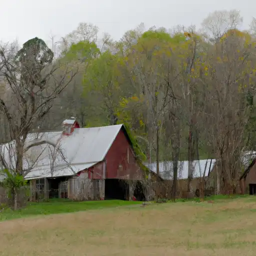 Rural homes in Lafayette, Arkansas