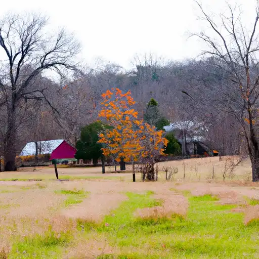 Rural homes in Randolph, Arkansas