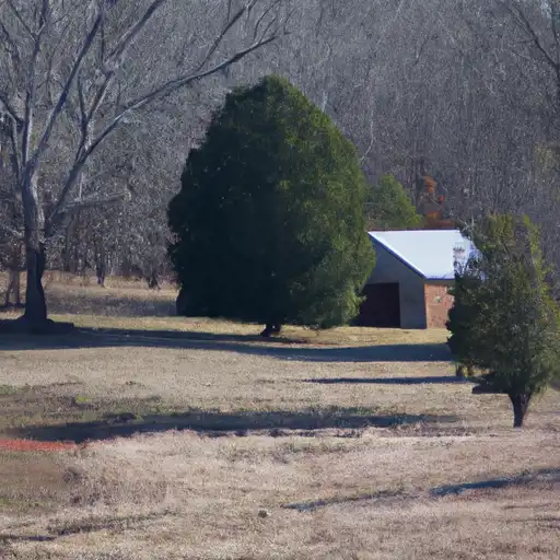 Rural homes in Stone, Arkansas