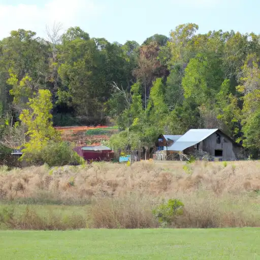 Rural homes in White, Arkansas