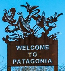City Logo for Patagonia