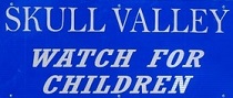 City Logo for Skull_Valley
