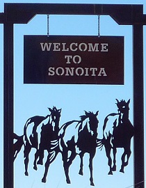 City Logo for Sonoita