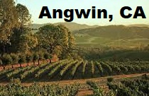City Logo for Angwin