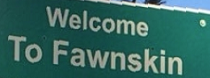 City Logo for Fawnskin