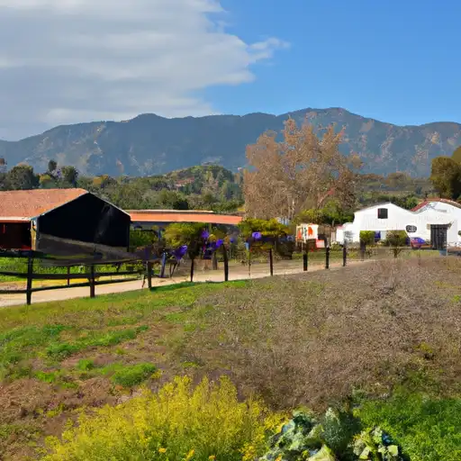 Rural homes in Los Angeles, California