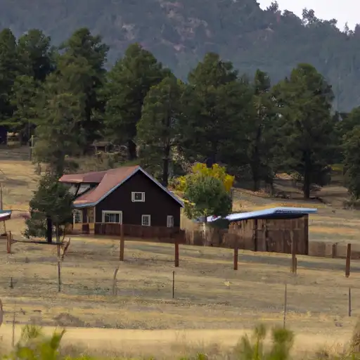 Rural homes in Elbert, Colorado