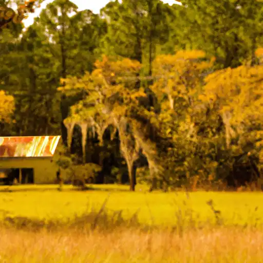 Rural homes in Gadsden, Florida