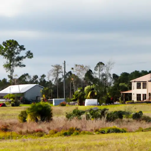Rural homes in Gulf, Florida