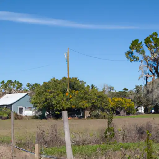 Rural homes in Madison, Florida