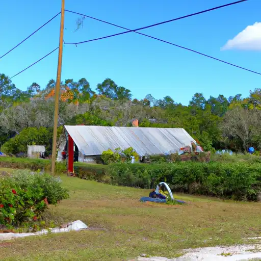 Rural homes in Manatee, Florida