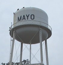 City Logo for Mayo