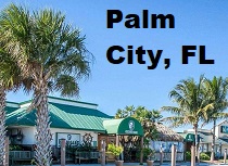 City Logo for Palm_City