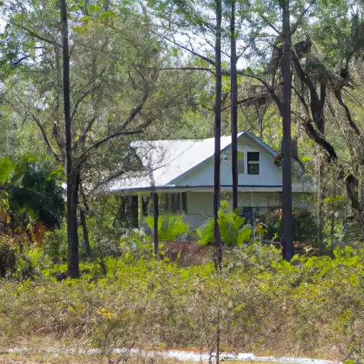 Rural homes in Suwannee, Florida