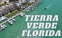 City Logo for Tierra_Verde