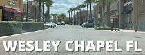 City Logo for Wesley_Chapel