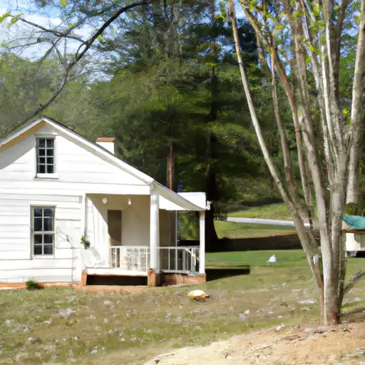 Rural homes in Atkinson, Georgia