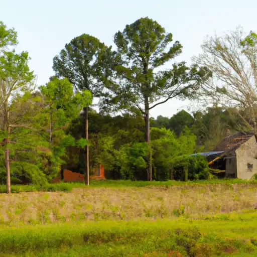 Rural homes in Bryan, Georgia