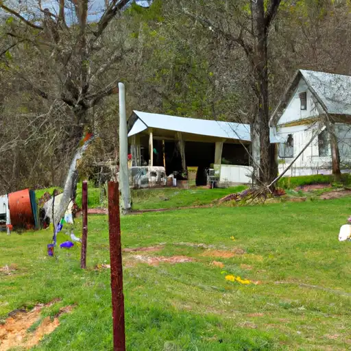 Rural homes in Chattooga, Georgia