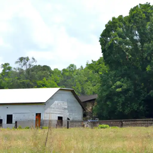 Rural homes in Coweta, Georgia