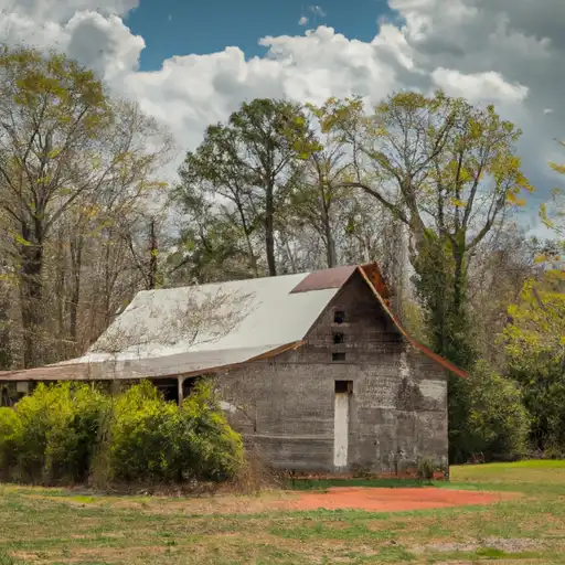 Rural homes in Crawford, Georgia