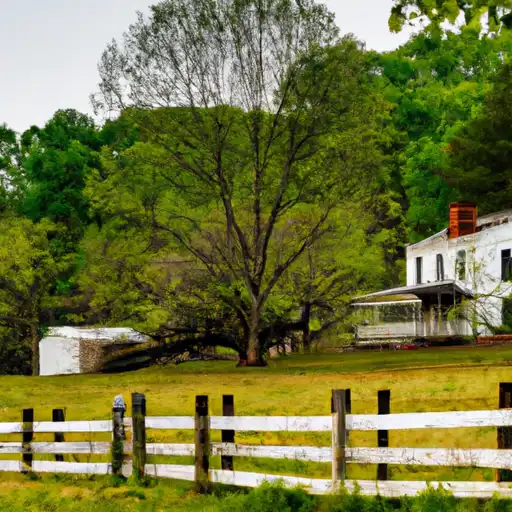 Rural homes in Fannin, Georgia
