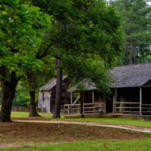 Rural homes in Greene, Georgia