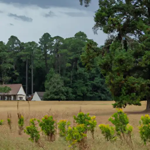 Rural homes in Hart, Georgia