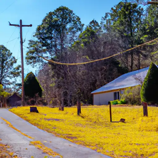 Rural homes in Heard, Georgia