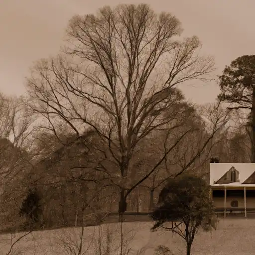 Rural homes in Pickens, Georgia
