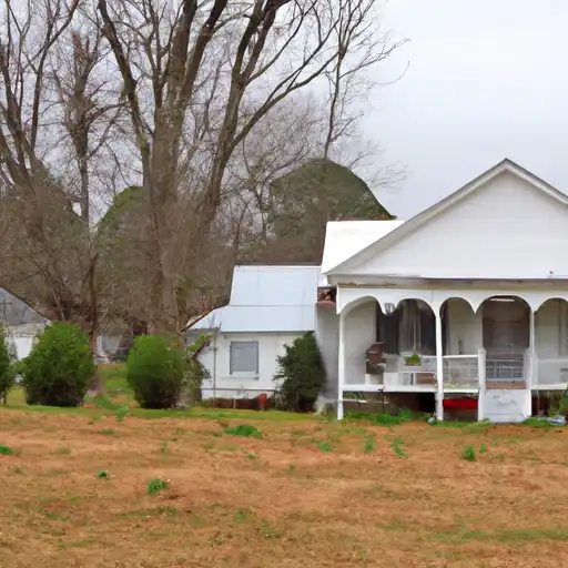 Rural homes in Randolph, Georgia