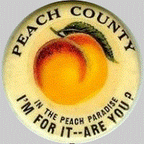 Peach County Seal