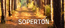 City Logo for Soperton