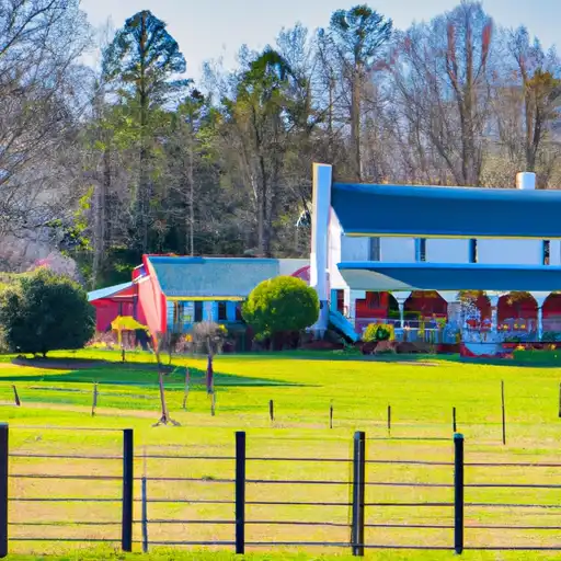 Rural homes in Webster, Georgia