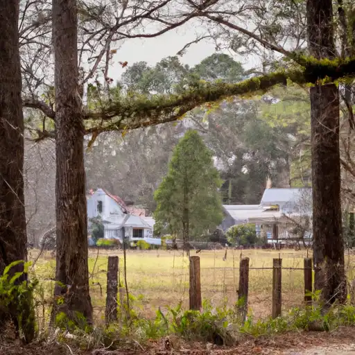 Rural homes in Wilcox, Georgia