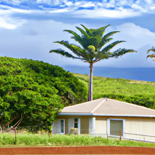 Rural homes in Maui, Hawaii