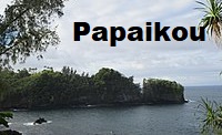 City Logo for Papaikou