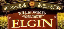 City Logo for Elgin