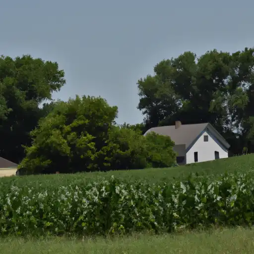 Rural homes in Lucas, Iowa