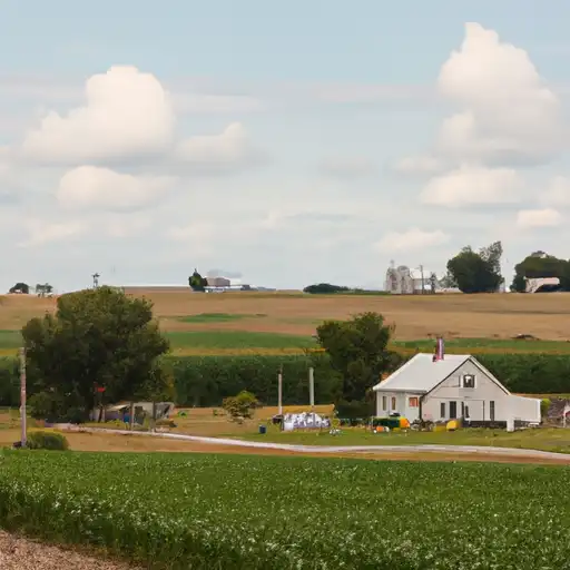 Rural homes in Montgomery, Iowa
