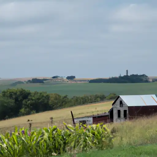 Rural homes in Wapello, Iowa