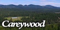City Logo for Careywood