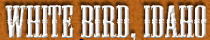 City Logo for White_Bird