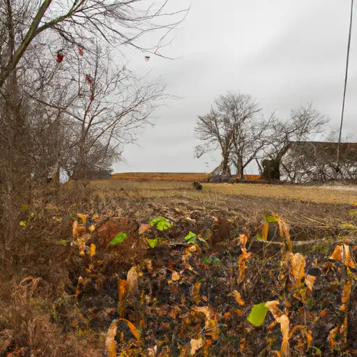 Rural homes in Bond, Illinois